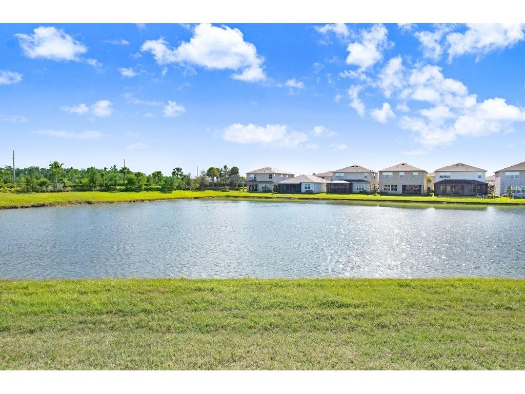 3254 Woodland Brook Way Wesley Chapel FL 33543 TB8464530 image41