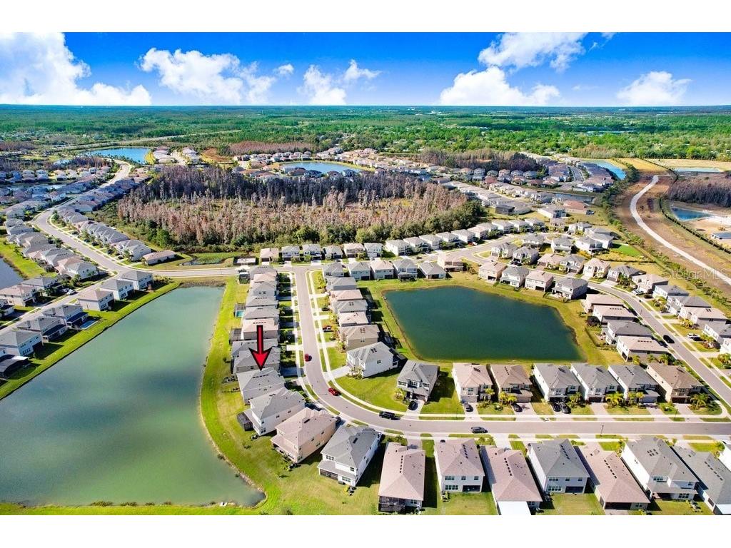 3254 Woodland Brook Way Wesley Chapel FL 33543 TB8464530 image53