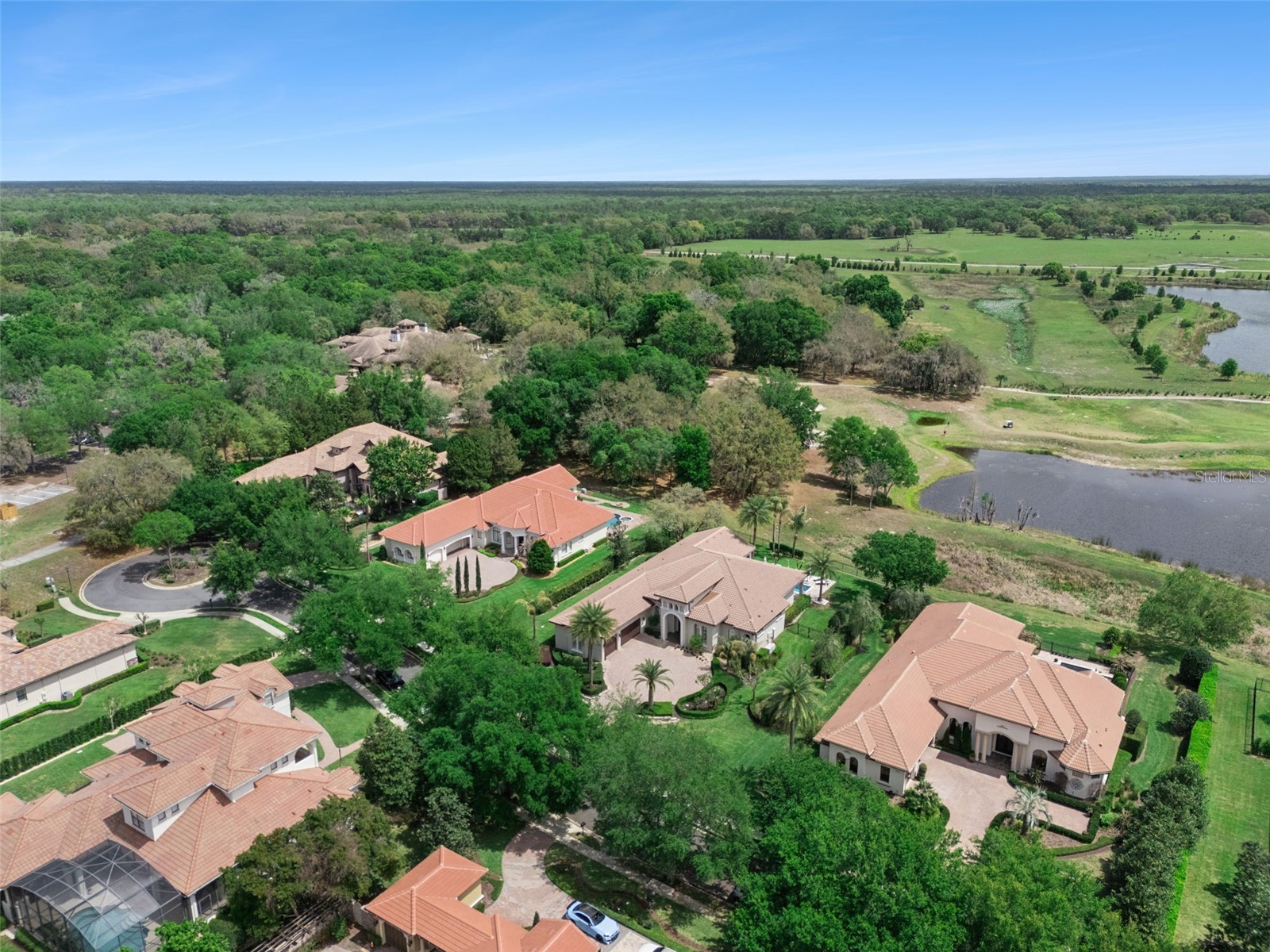 32544 Hawks Lake Lane Sorrento FL 32776 O6392852 image61