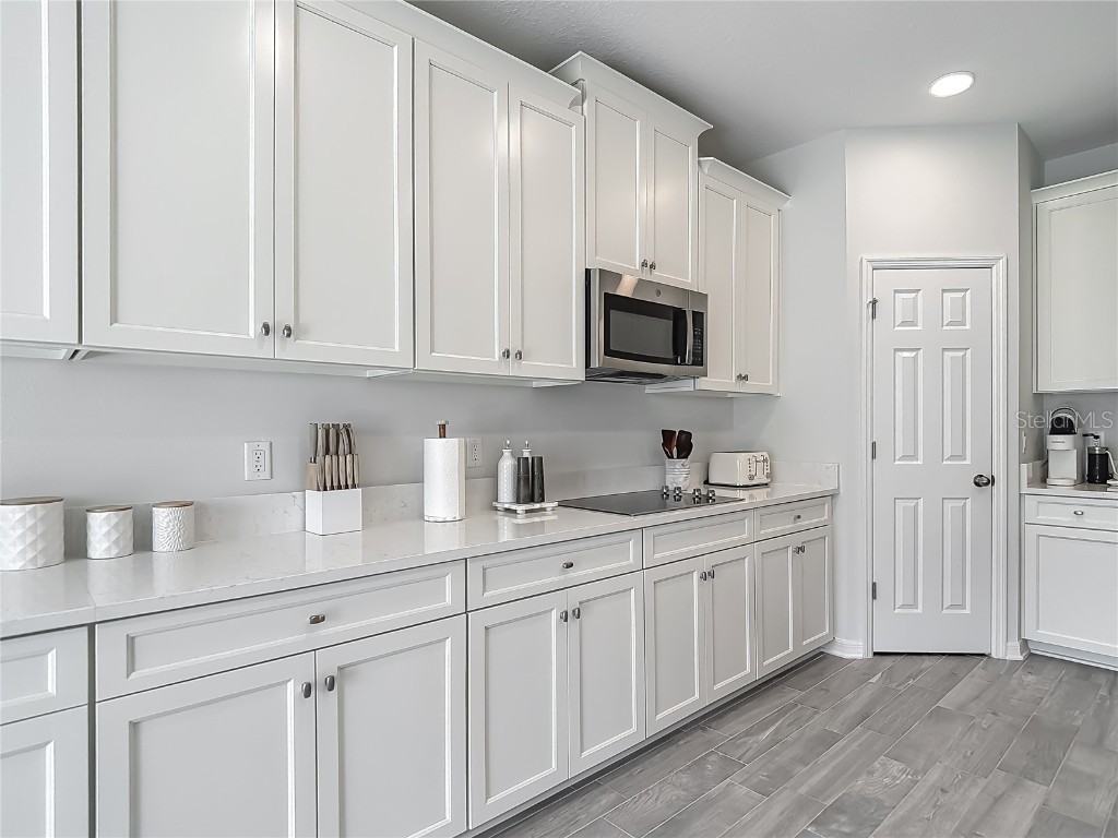 32544 Sapna Chime Drive Wesley Chapel FL 33545 TB8453977 image19