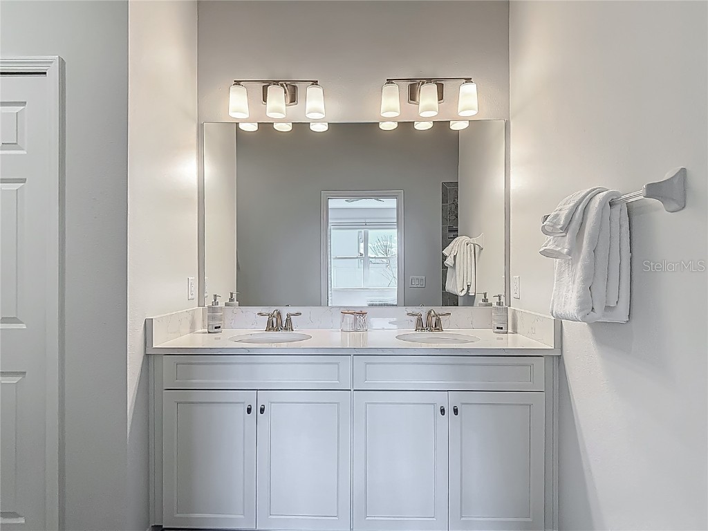 32544 Sapna Chime Drive Wesley Chapel FL 33545 TB8453977 image32