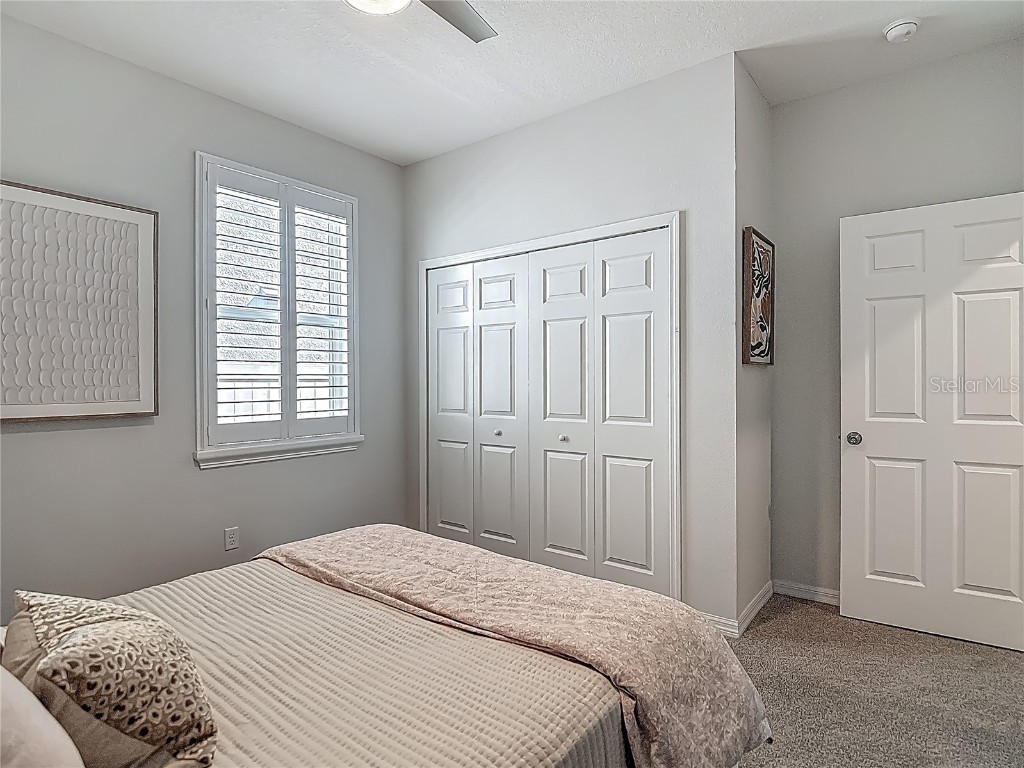 32544 Sapna Chime Drive Wesley Chapel FL 33545 TB8453977 image36