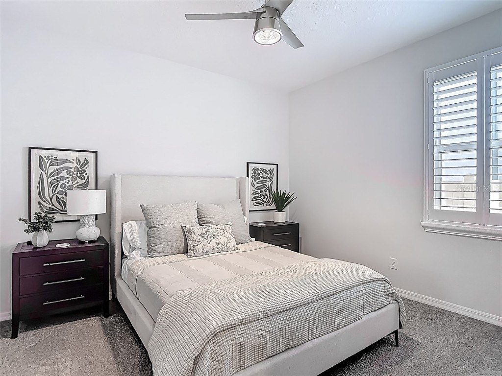 32544 Sapna Chime Drive Wesley Chapel FL 33545 TB8453977 image39