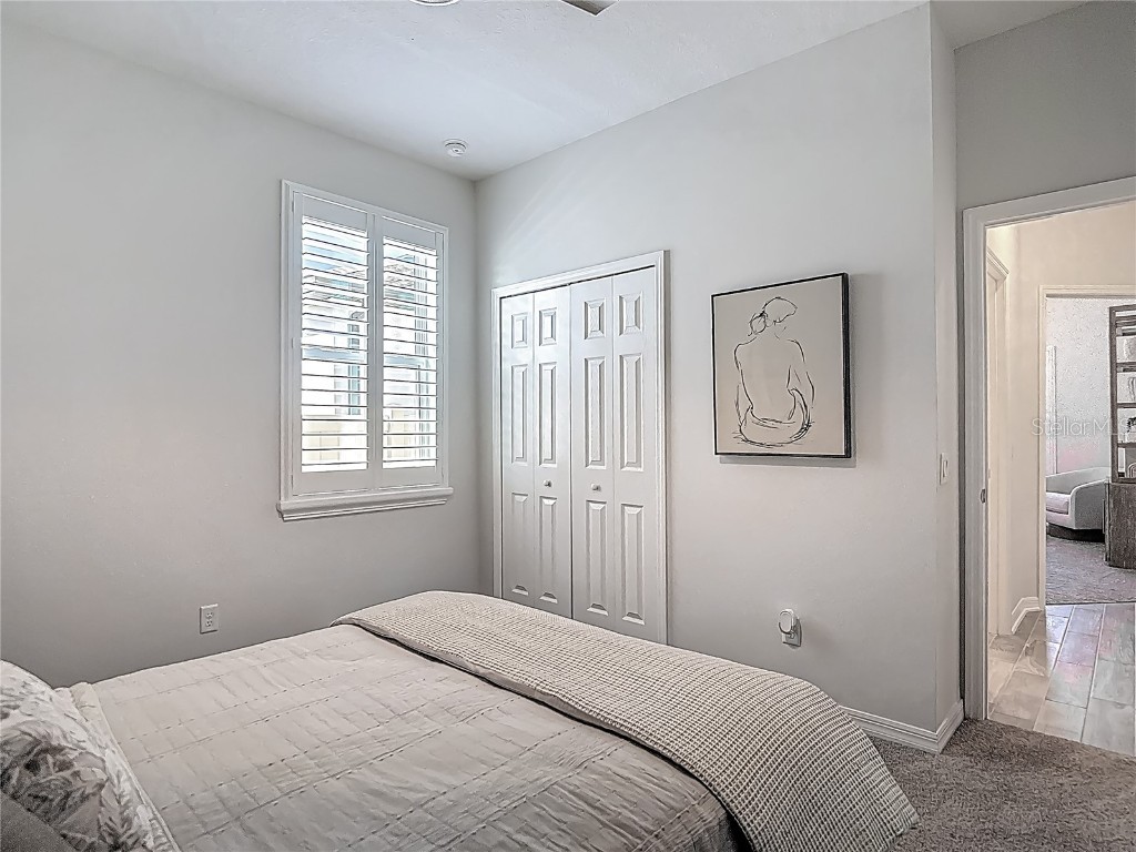 32544 Sapna Chime Drive Wesley Chapel FL 33545 TB8453977 image41