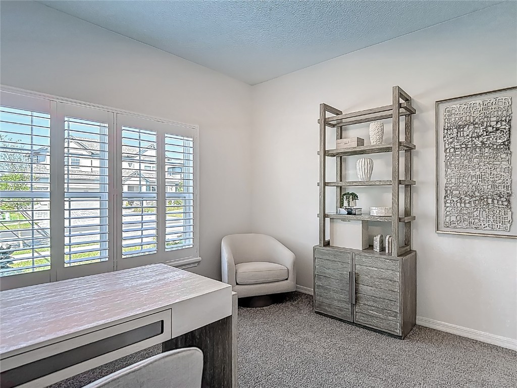 32544 Sapna Chime Drive Wesley Chapel FL 33545 TB8453977 image46