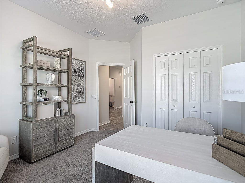 32544 Sapna Chime Drive Wesley Chapel FL 33545 TB8453977 image48