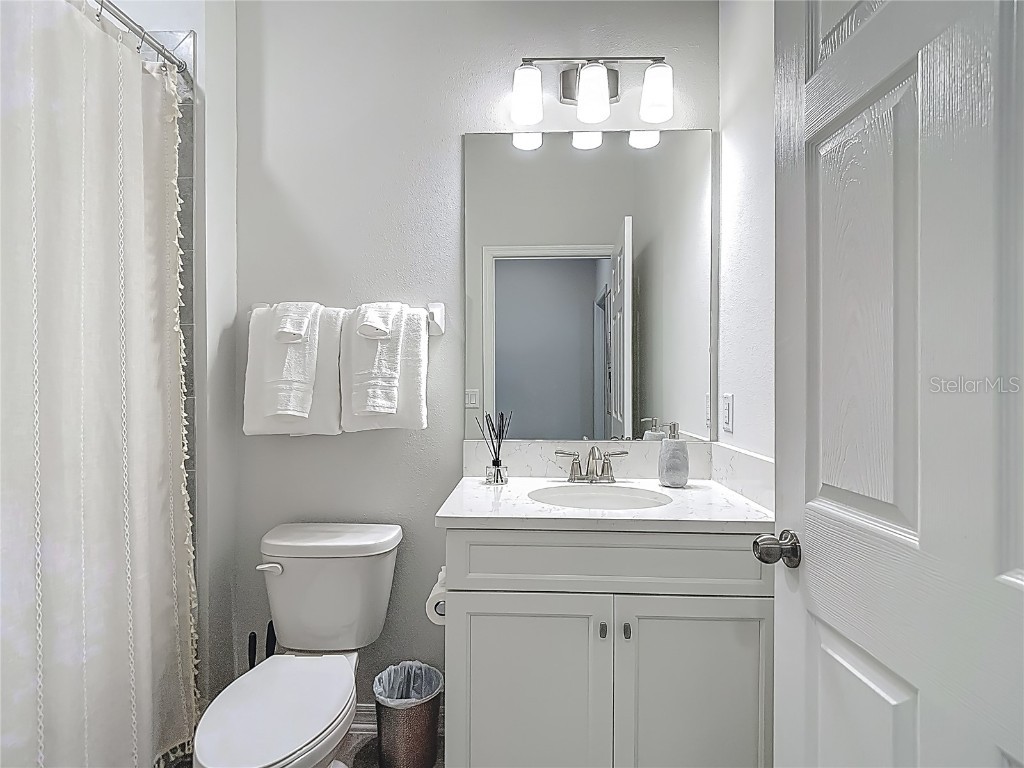 32544 Sapna Chime Drive Wesley Chapel FL 33545 TB8453977 image49