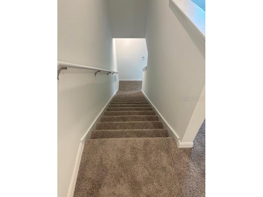 32547 Welling Blade Loop Wesley Chapel FL 33545 TB8498907 image10