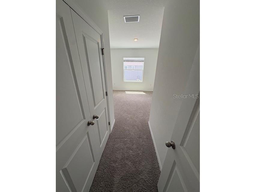 32547 Welling Blade Loop Wesley Chapel FL 33545 TB8498907 image11