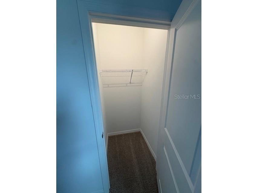 32547 Welling Blade Loop Wesley Chapel FL 33545 TB8498907 image16