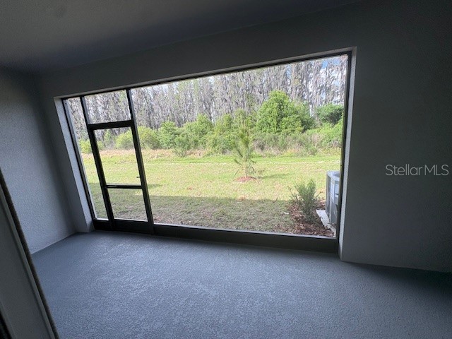 32547 Welling Blade Loop Wesley Chapel FL 33545 TB8498907 image19
