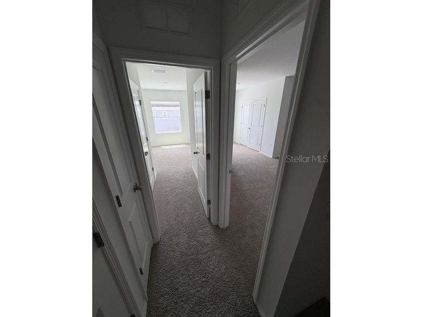 32547 Welling Blade Loop Wesley Chapel FL 33545 TB8498907 image8