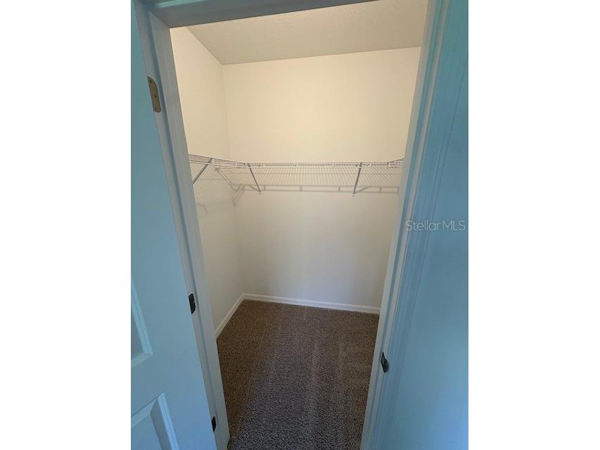 32547 Welling Blade Loop Wesley Chapel FL 33545 TB8498907 image9