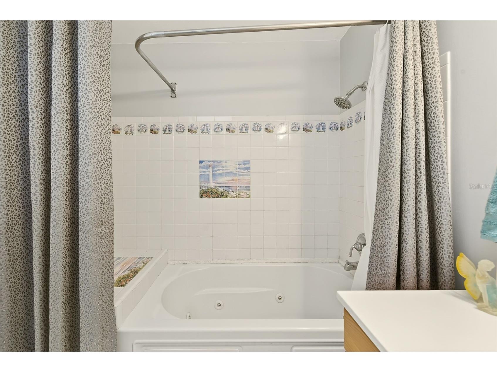 3255 57th Street N Saint Petersburg FL 33710 TB8507008 image17
