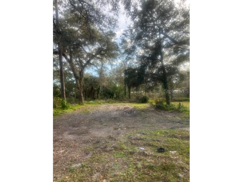 3255 Cr 675 Webster FL 33597 G5091545 image1