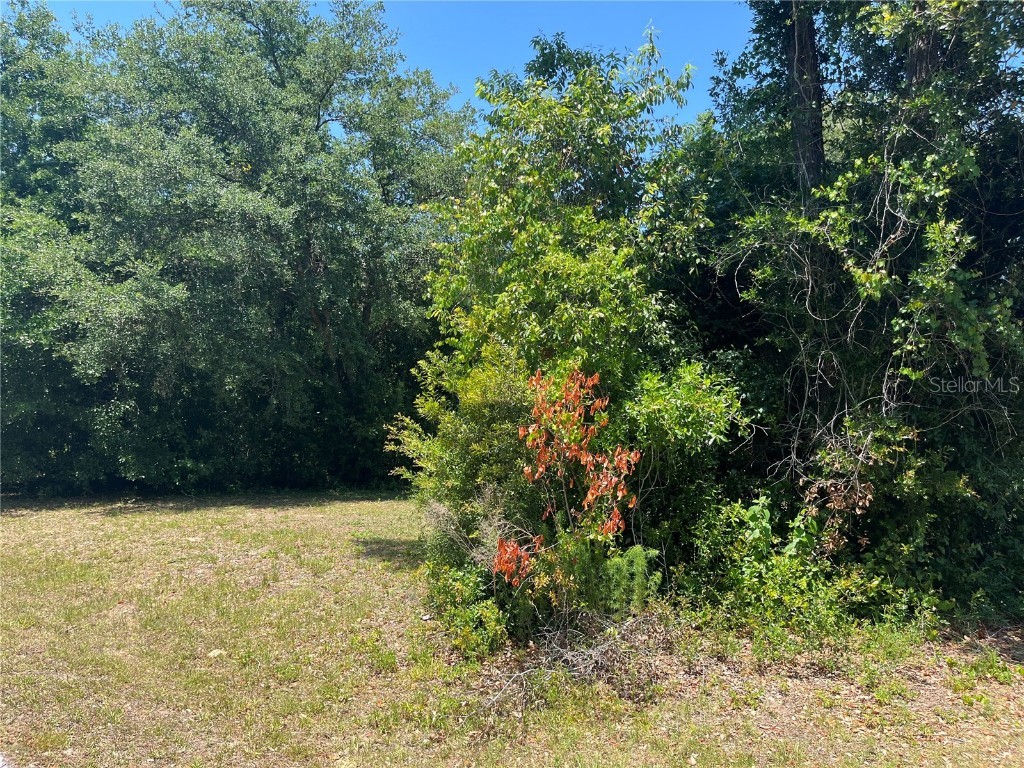 3255 E Gladys Street Inverness FL 34453 W7864456 image1