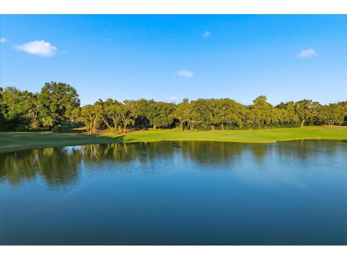 3255 N Pinelake Village Point Lecanto FL 34461 O6356999 image44