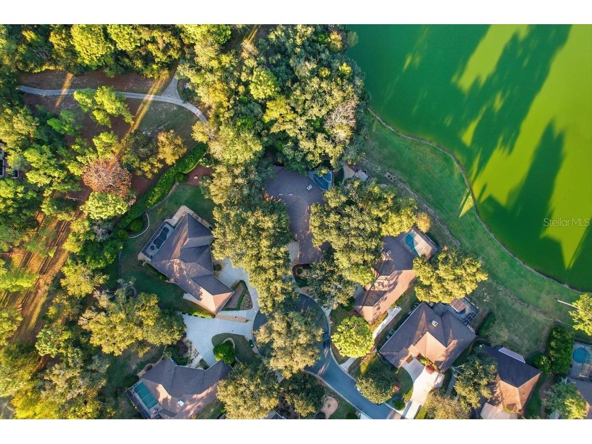 3255 N Pinelake Village Point Lecanto FL 34461 O6356999 image45