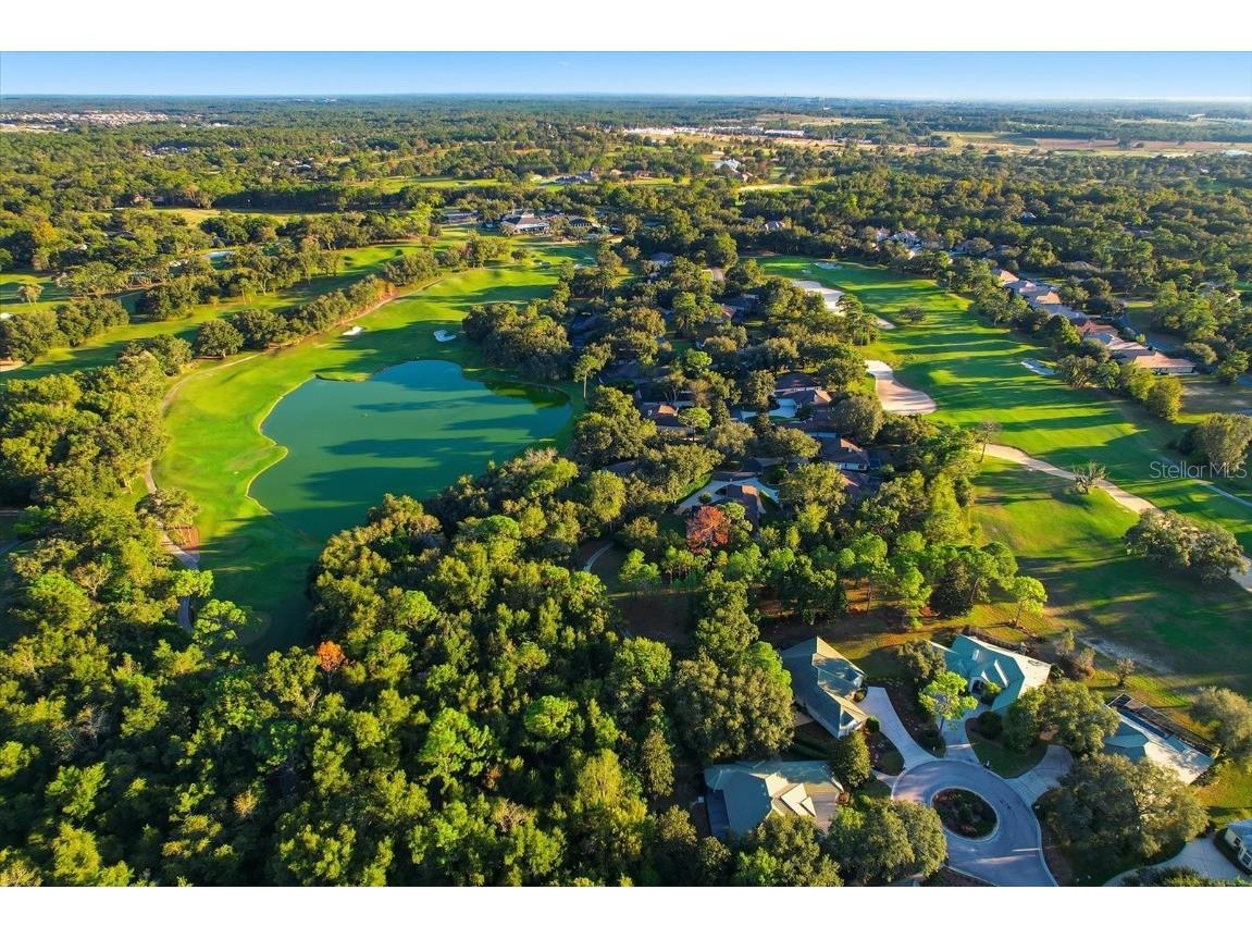 3255 N Pinelake Village Point Lecanto FL 34461 O6356999 image47