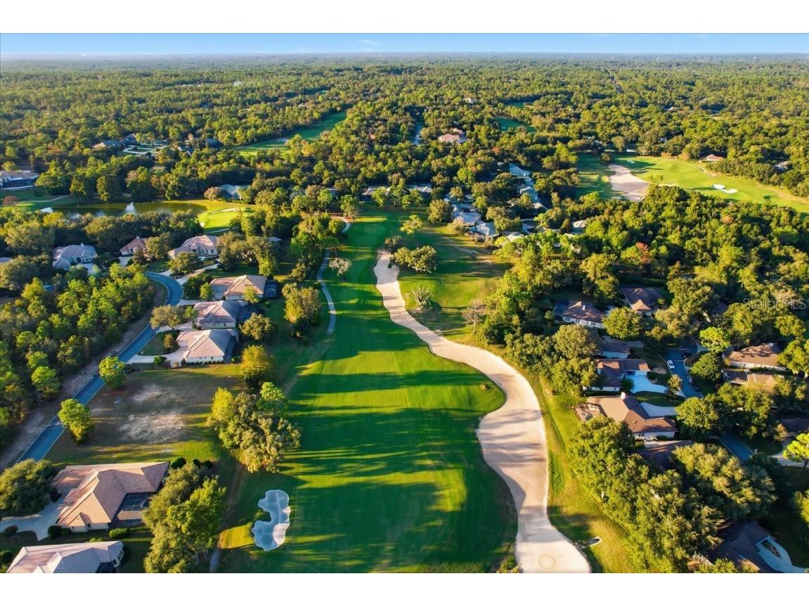 3255 N Pinelake Village Point Lecanto FL 34461 O6356999 image48