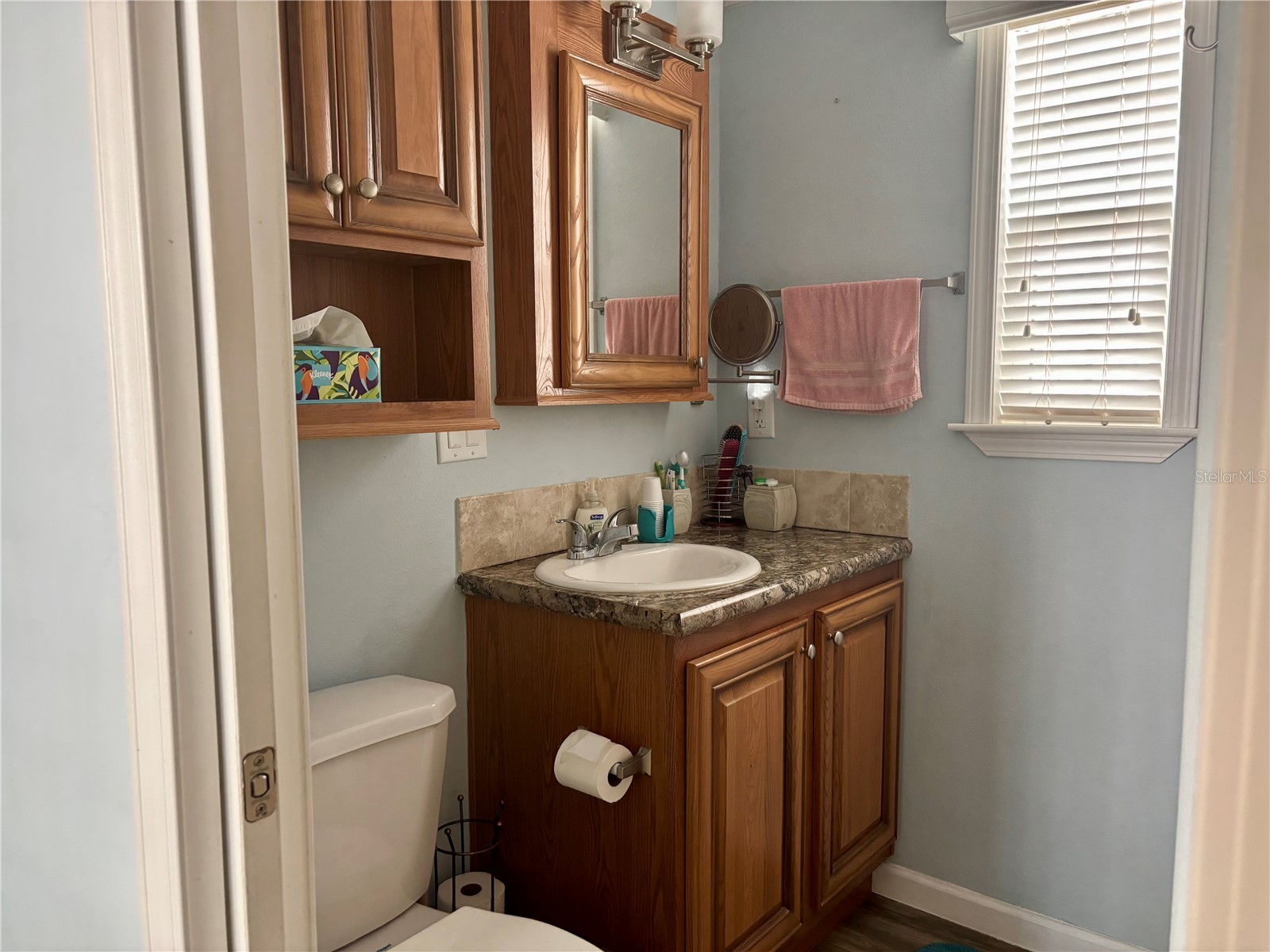 3255 NE 104th Avenue Silver Springs FL 34488 - OCKLAWAHA RIVER OM723888 image31