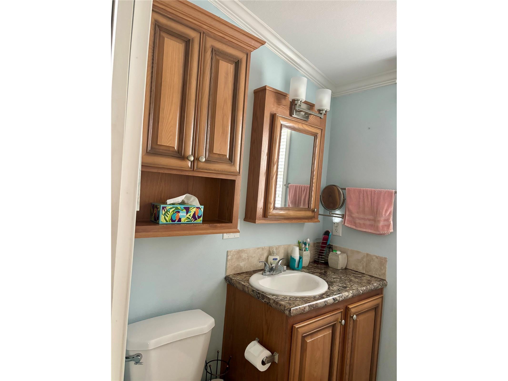 3255 NE 104th Avenue Silver Springs FL 34488 - OCKLAWAHA RIVER OM723888 image32