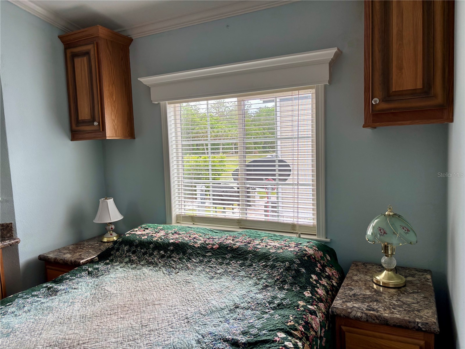 3255 NE 104th Avenue Silver Springs FL 34488 - OCKLAWAHA RIVER OM723888 image39