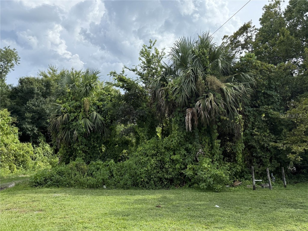 3255 NW 8th Street Okeechobee FL 34972 OK225473 image3