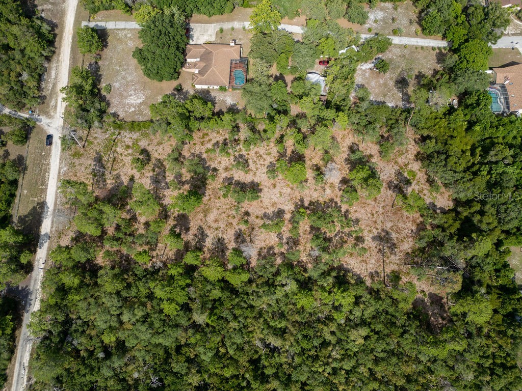 3255 Red Fox Drive Deltona FL 32725 V4943637 image10