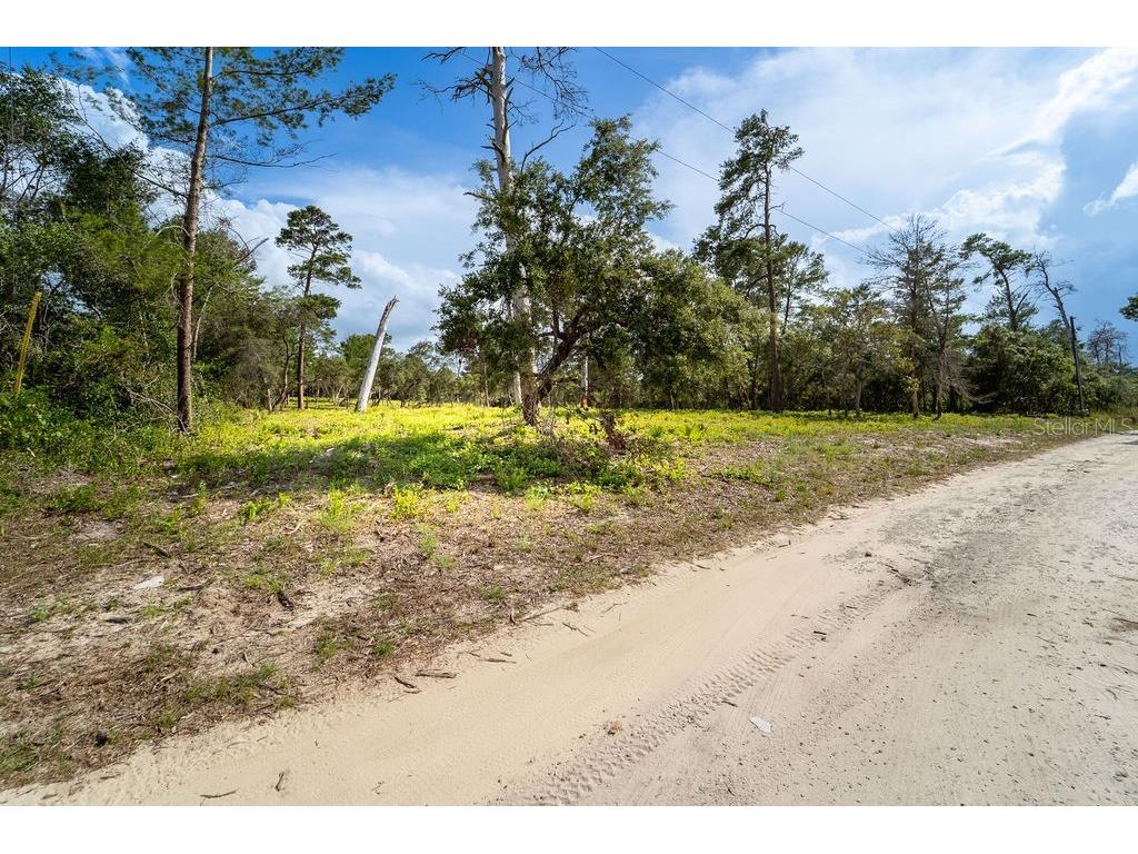 3255 Red Fox Drive Deltona FL 32725 V4943637 image11