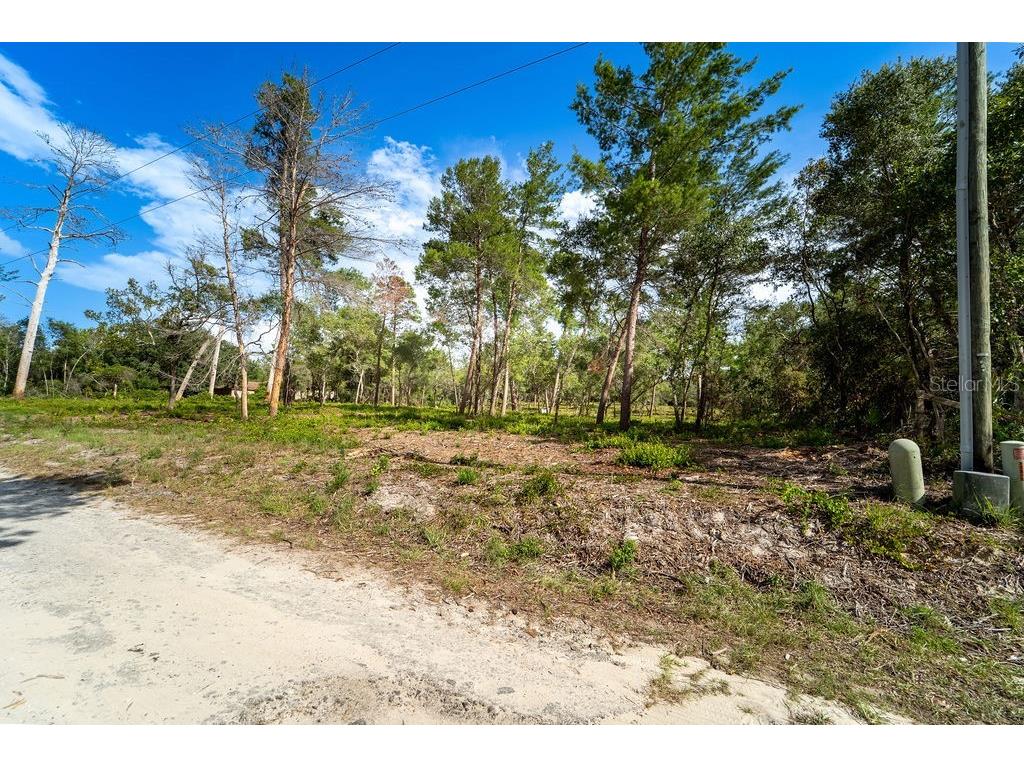 3255 Red Fox Drive Deltona FL 32725 V4943637 image13