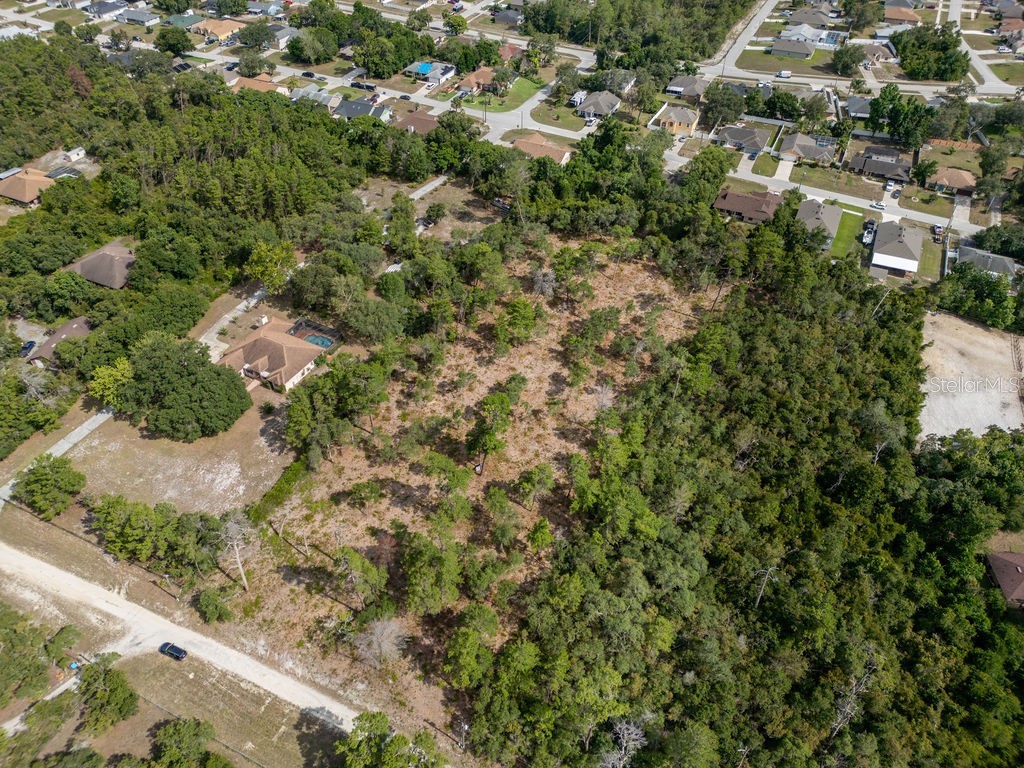 3255 Red Fox Drive Deltona FL 32725 V4943637 image8