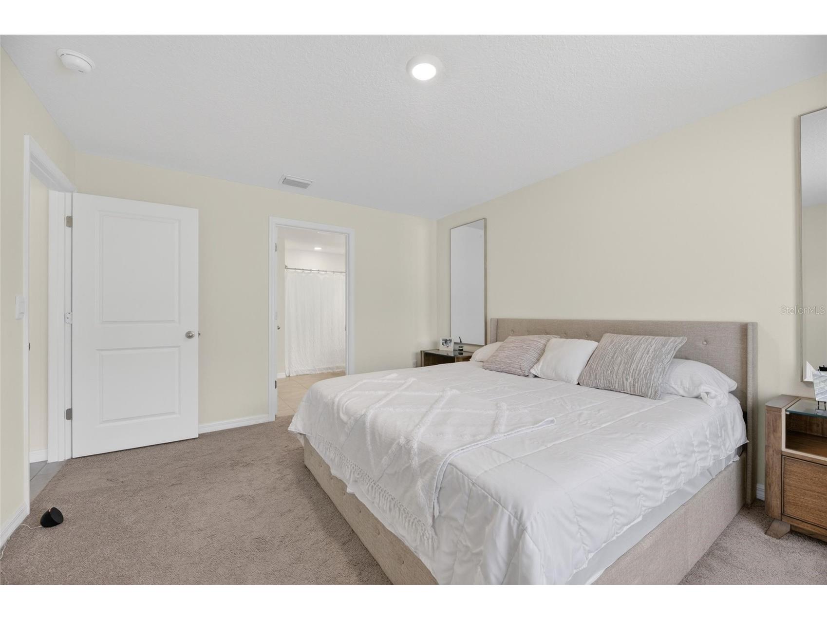 3255 Silver Date Drive Wimauma FL 33598 TB8498826 image25