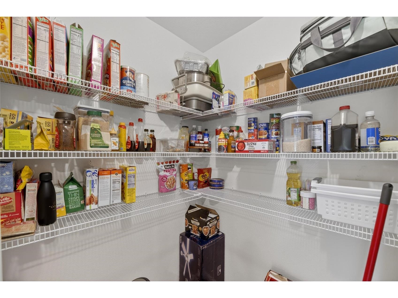 3255 Silver Date Drive Wimauma FL 33598 TB8498826 image37