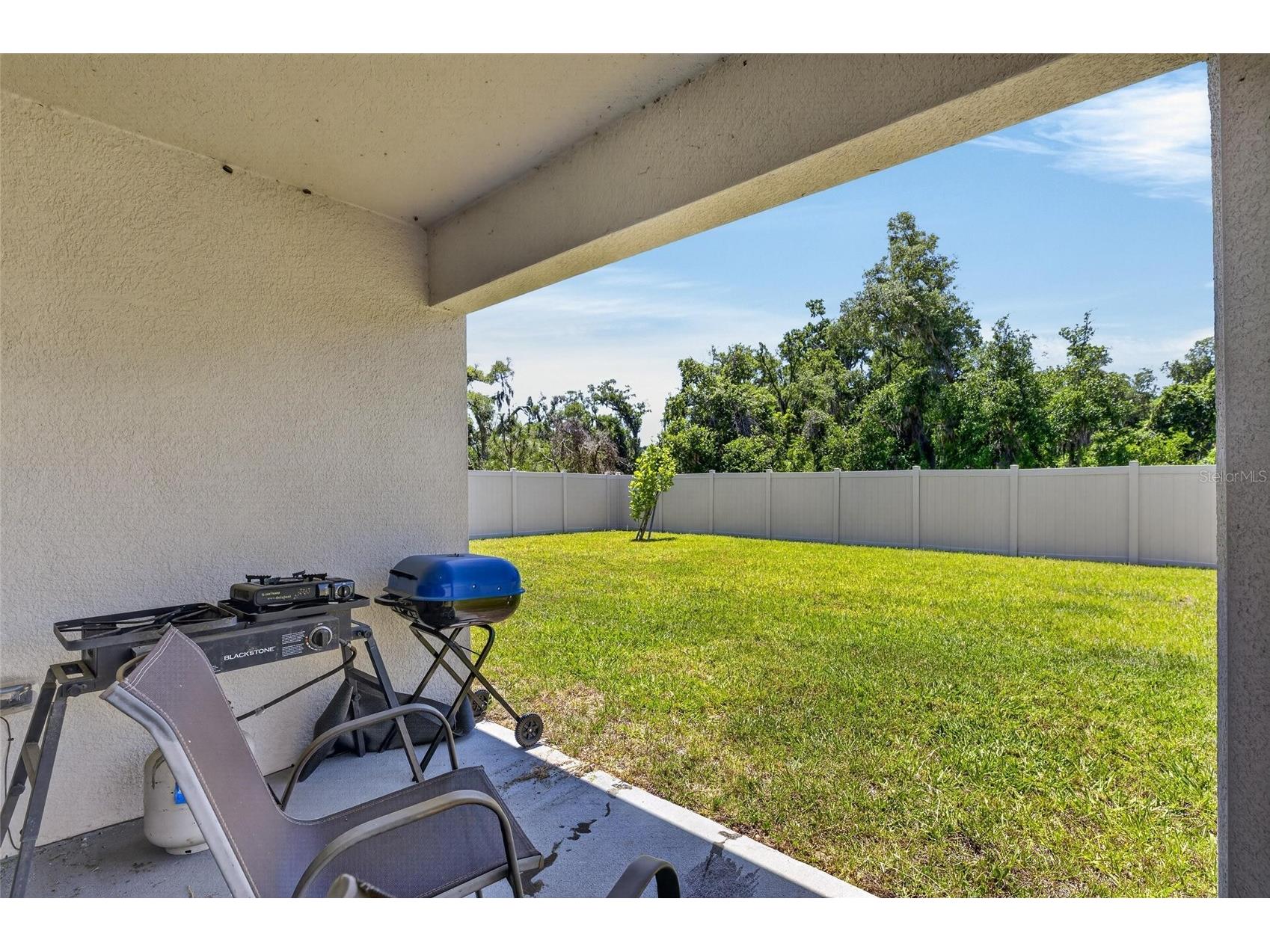 3255 Silver Date Drive Wimauma FL 33598 TB8498826 image45