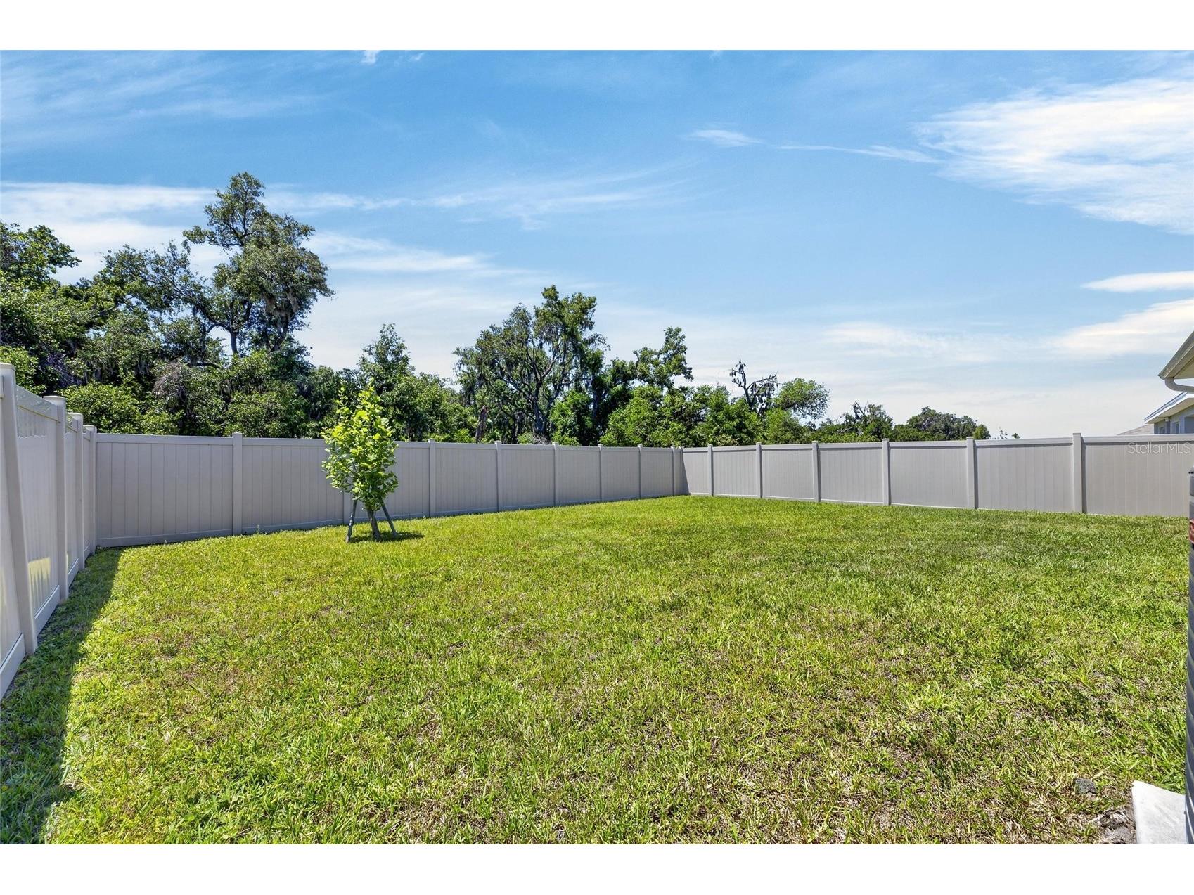 3255 Silver Date Drive Wimauma FL 33598 TB8498826 image49