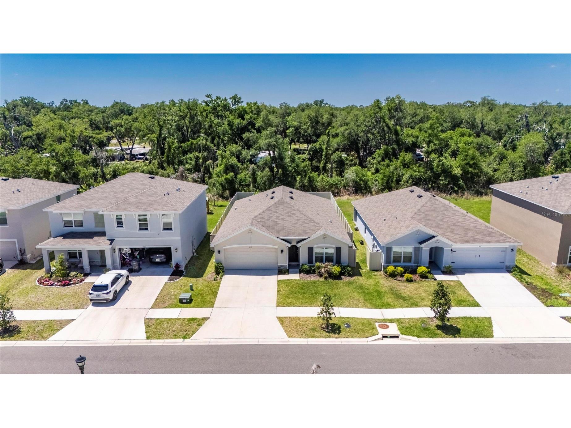 3255 Silver Date Drive Wimauma FL 33598 TB8498826 image53
