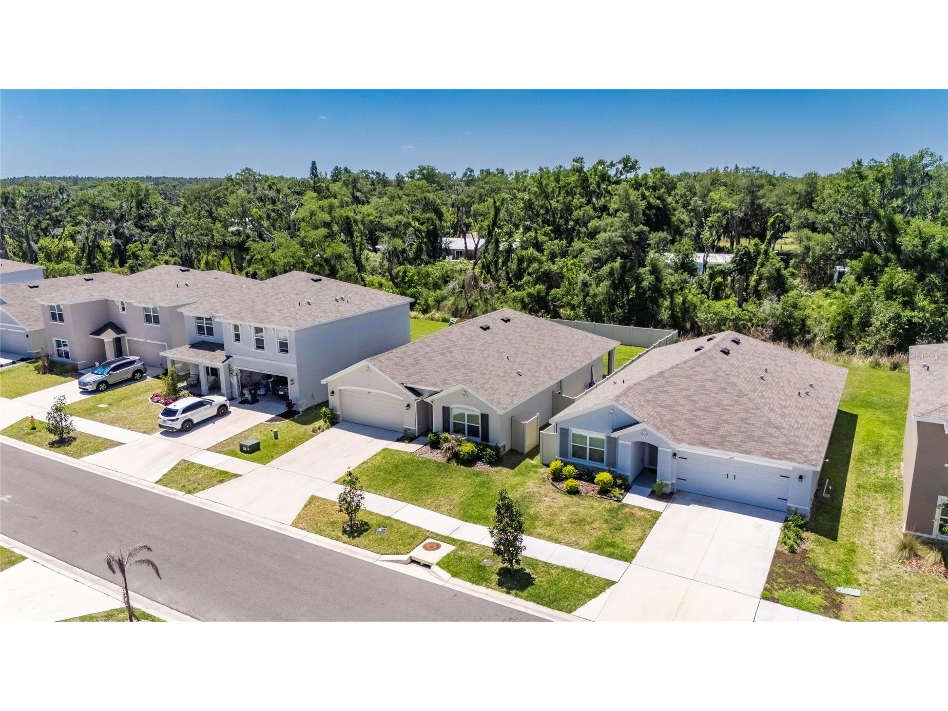 3255 Silver Date Drive Wimauma FL 33598 TB8498826 image54