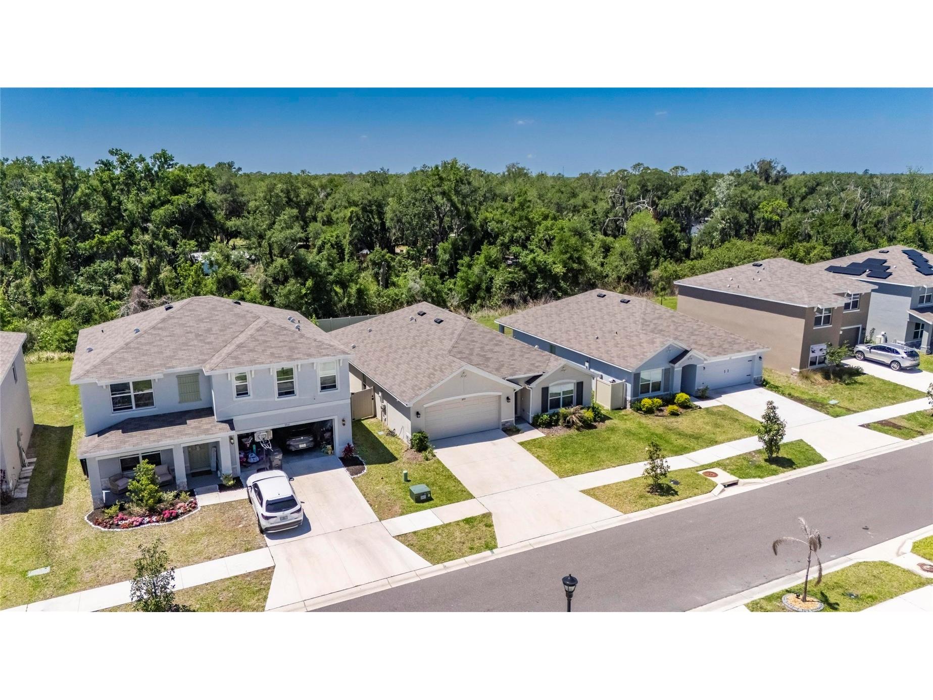 3255 Silver Date Drive Wimauma FL 33598 TB8498826 image55