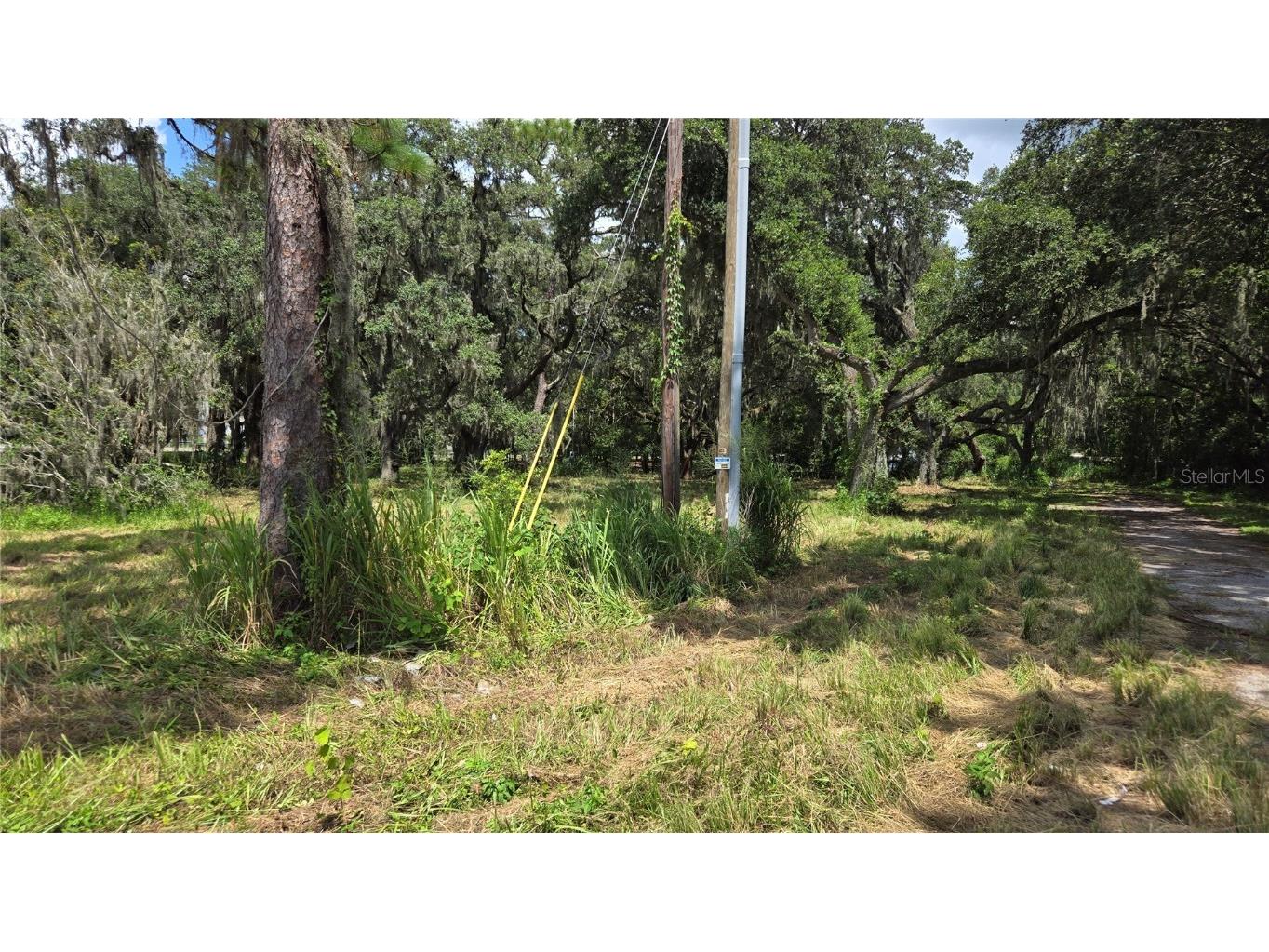 32551 Leonard Road San Antonio FL 33576 TB8305843 image28