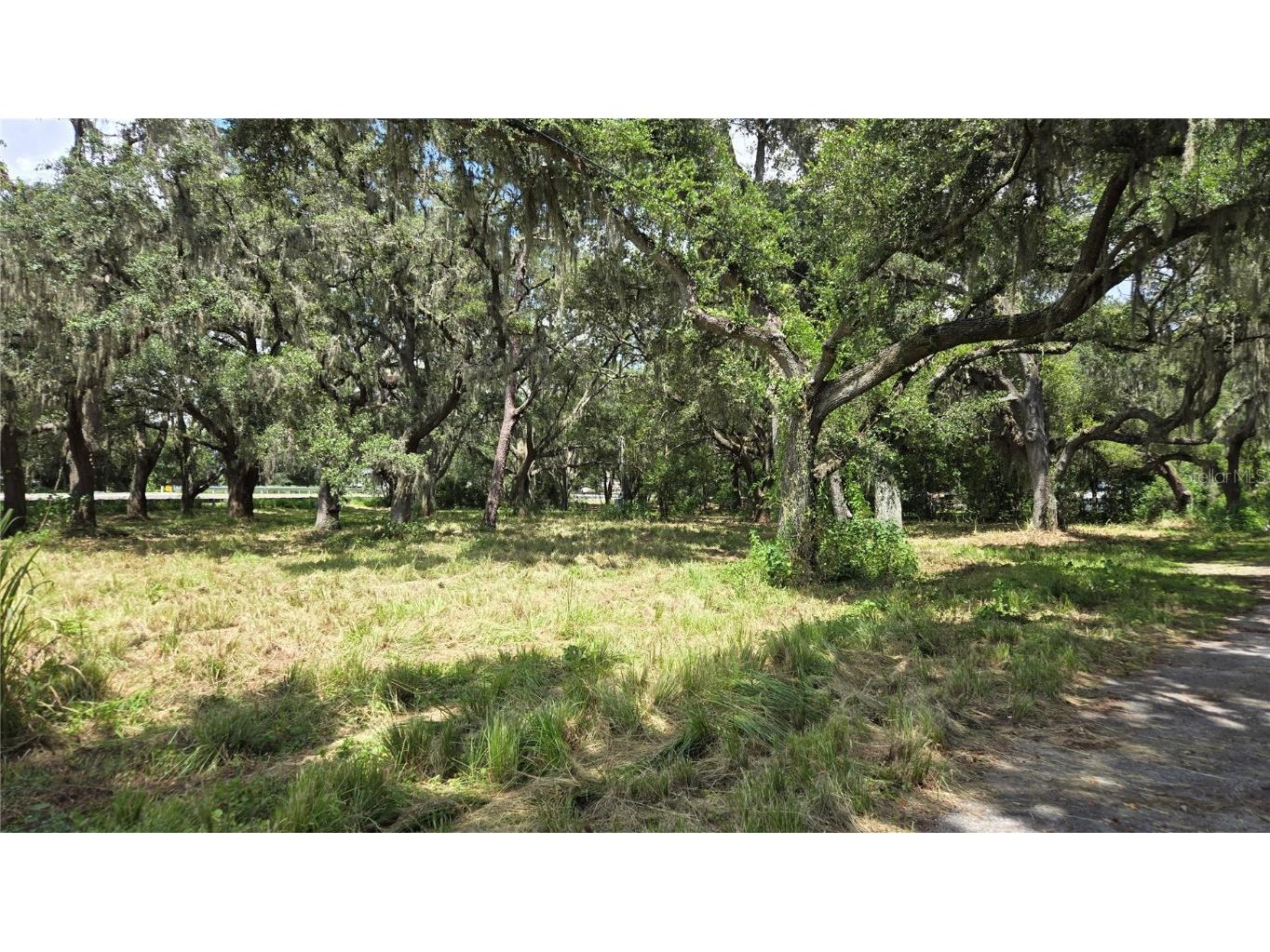32551 Leonard Road San Antonio FL 33576 TB8305843 image29