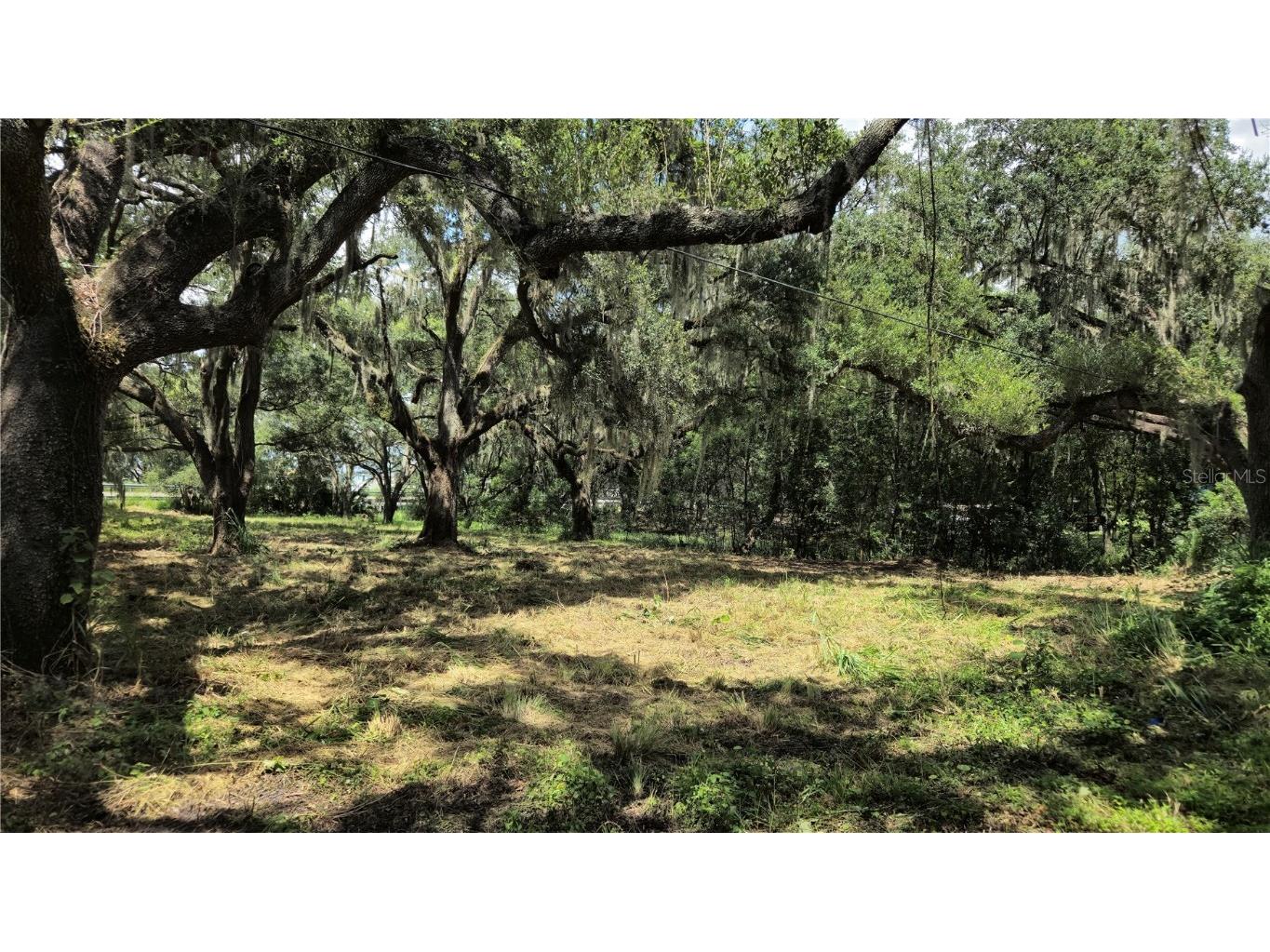 32551 Leonard Road San Antonio FL 33576 TB8305843 image30