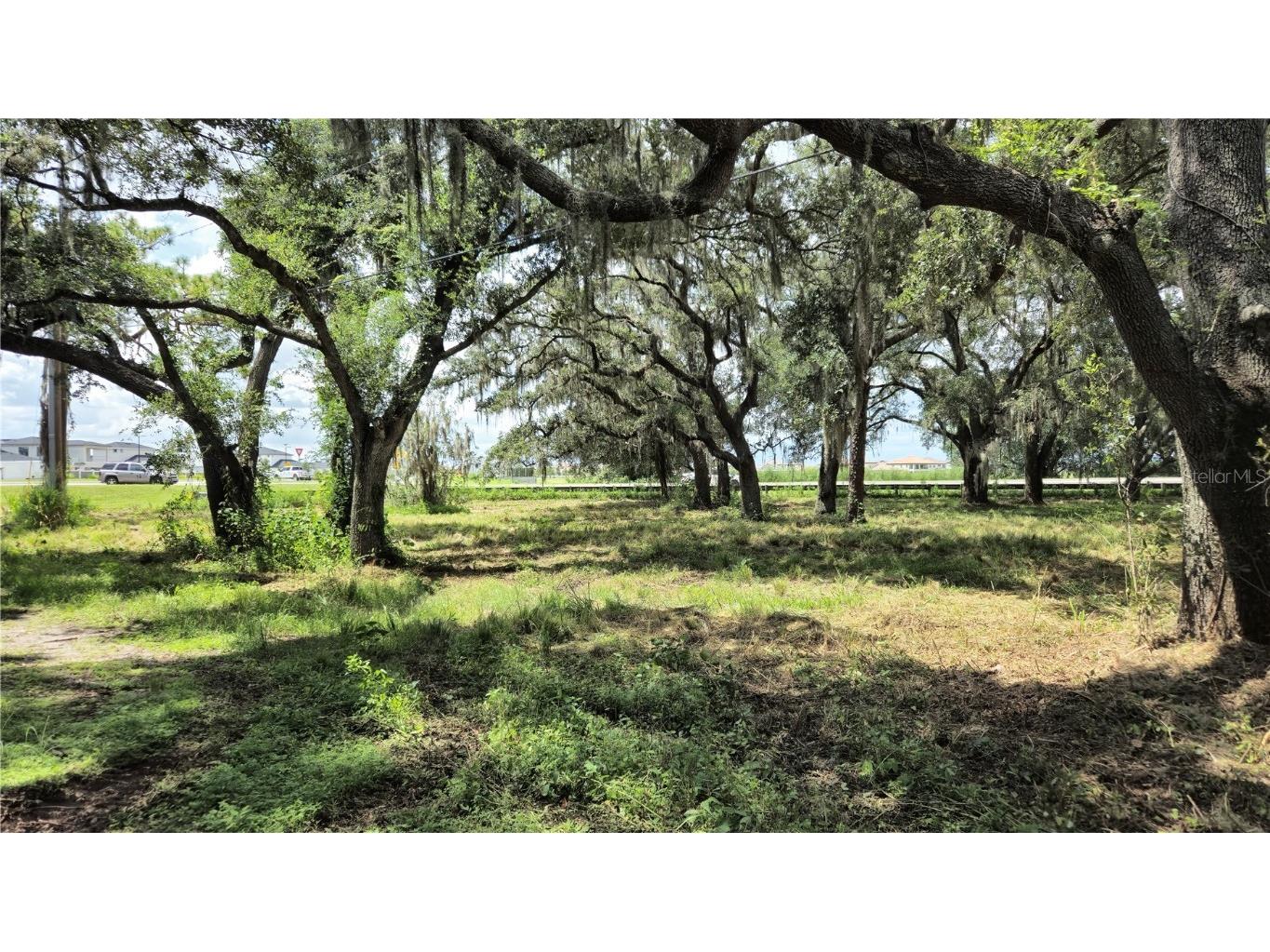 32551 Leonard Road San Antonio FL 33576 TB8305843 image31