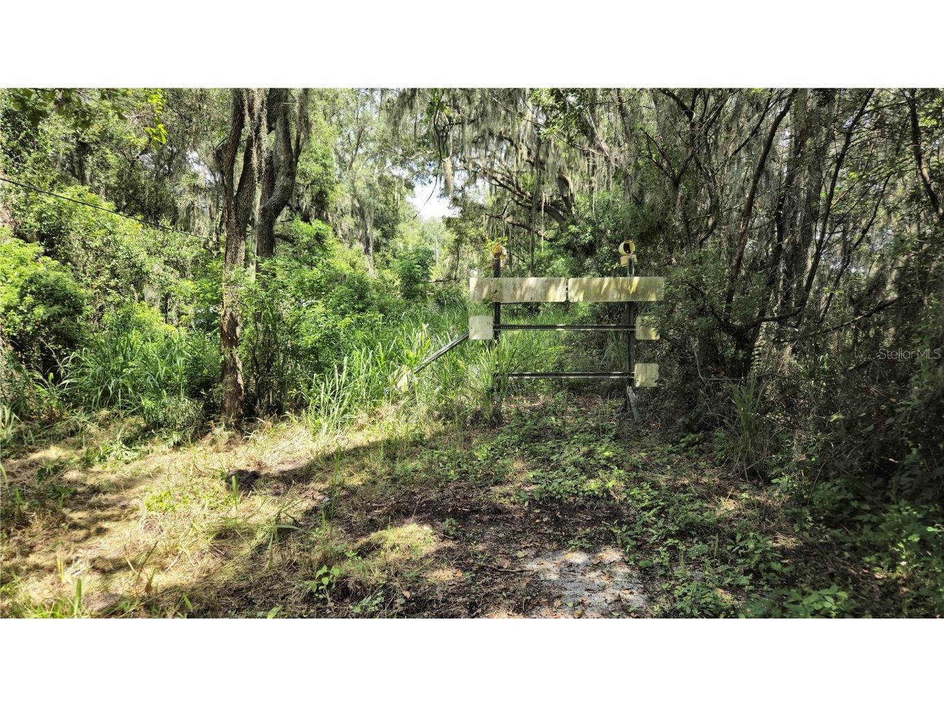 32551 Leonard Road San Antonio FL 33576 TB8305843 image33
