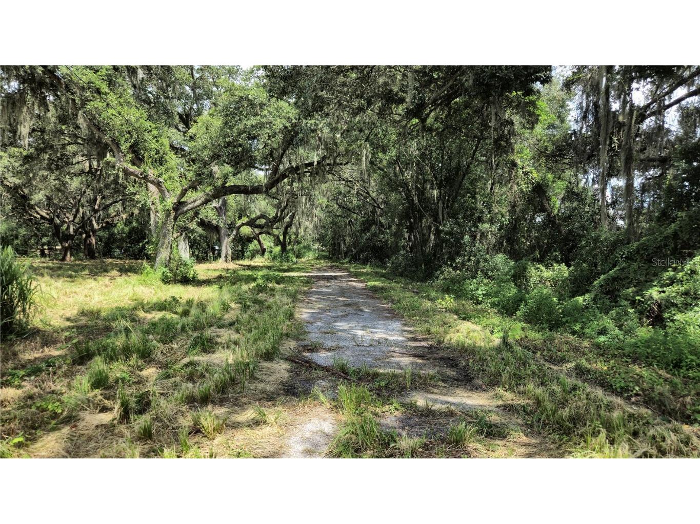 32551 Leonard Road San Antonio FL 33576 TB8305843 image34