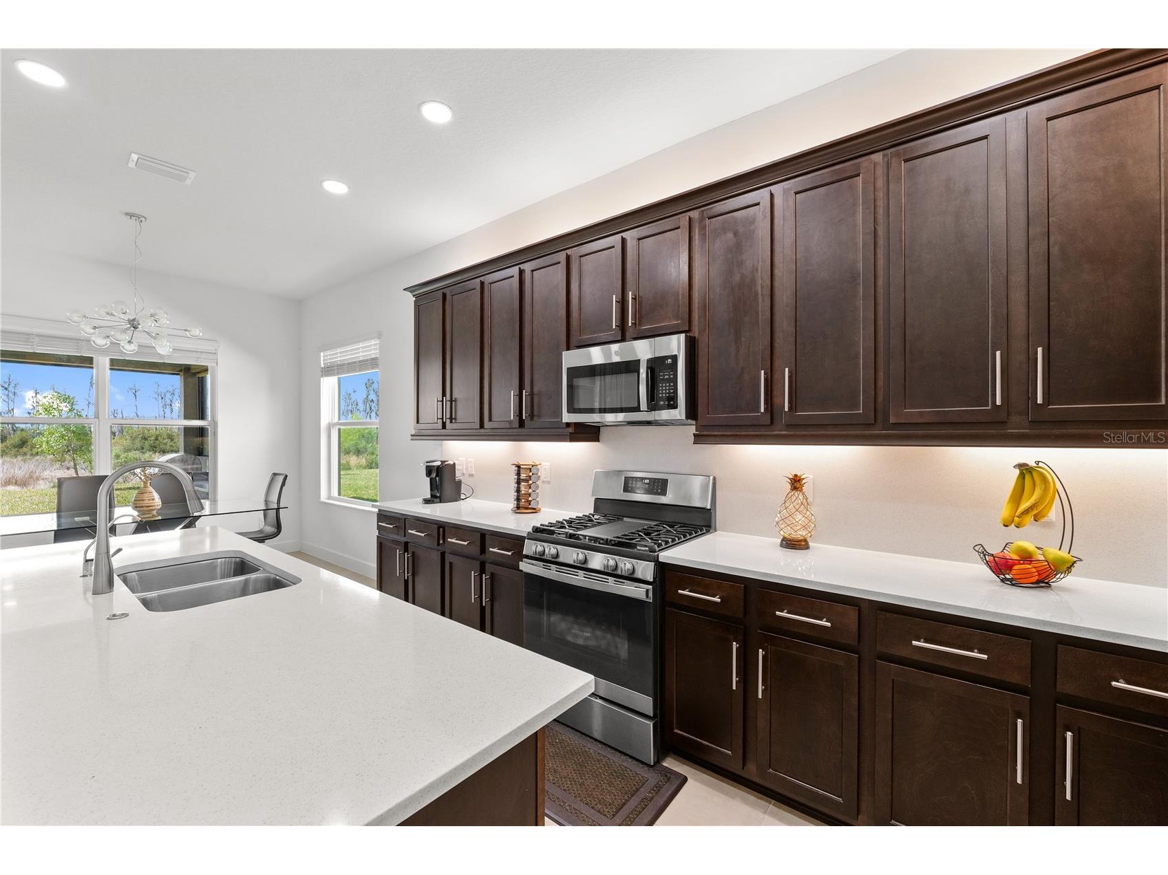 32558 Tree Of Life Avenue Wesley Chapel FL 33543 TB8490119 image10