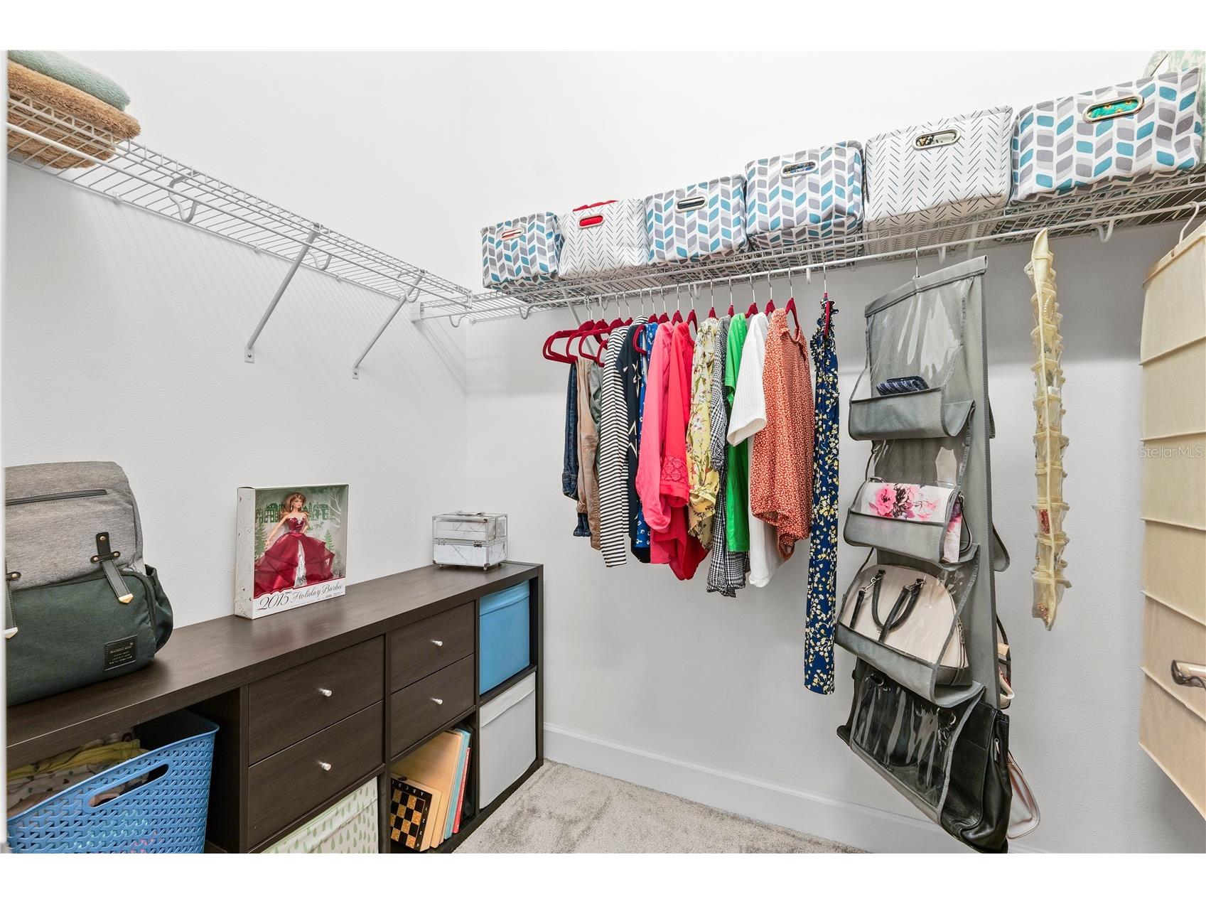 32558 Tree Of Life Avenue Wesley Chapel FL 33543 TB8490119 image15