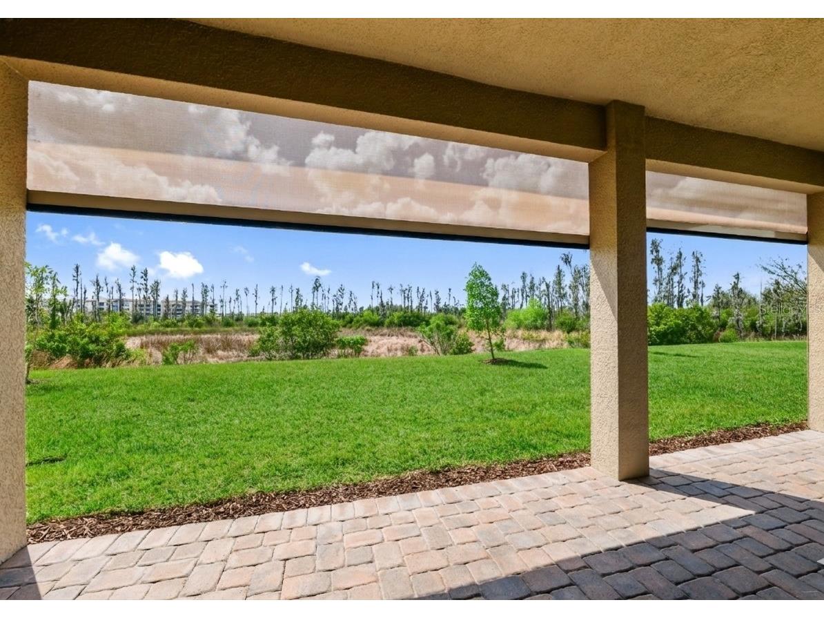 32558 Tree Of Life Avenue Wesley Chapel FL 33543 TB8490119 image22
