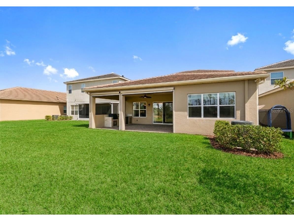 32558 Tree Of Life Avenue Wesley Chapel FL 33543 TB8490119 image28