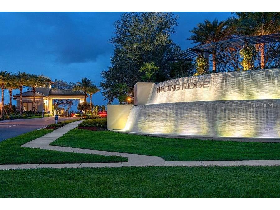 32558 Tree Of Life Avenue Wesley Chapel FL 33543 TB8490119 image45